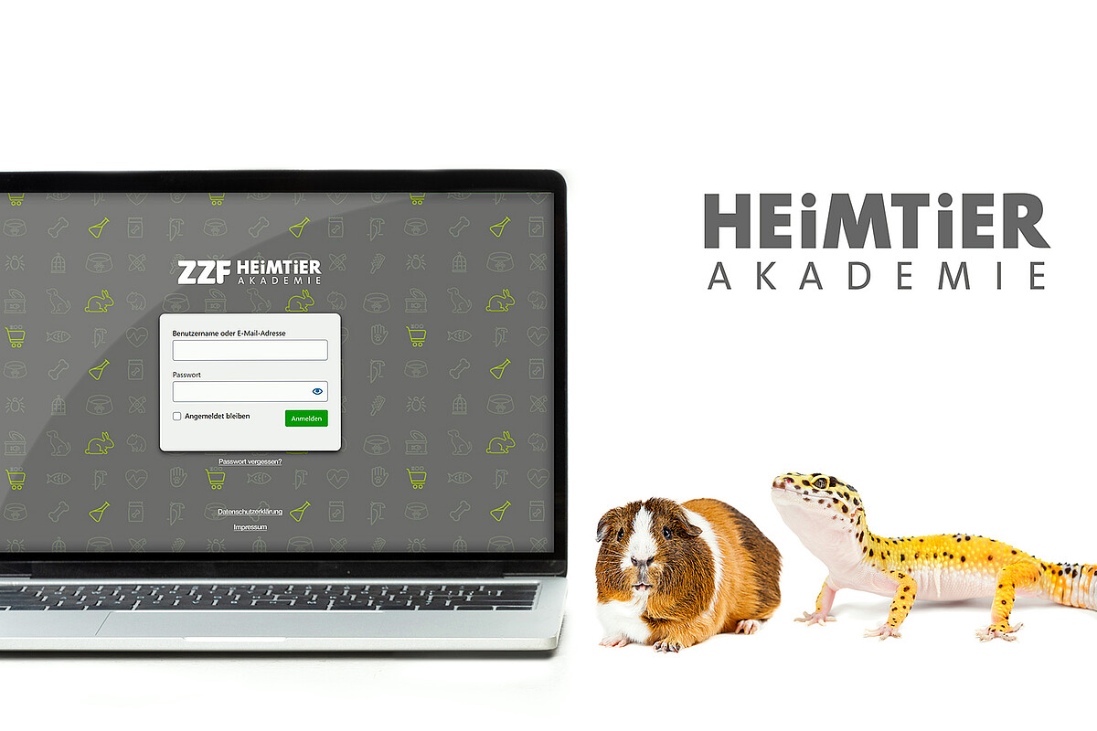 ZZF Heimtier Akademie